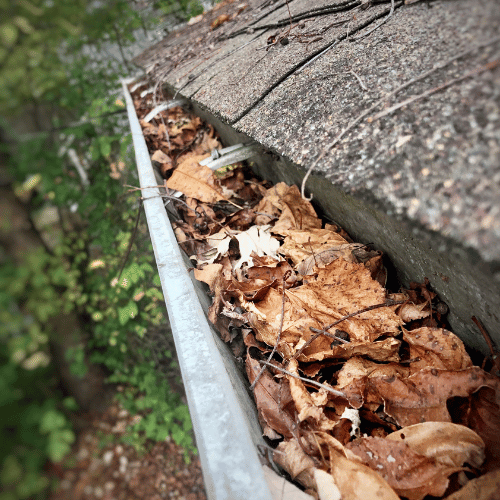 Gutter Cleaning in Spring TX